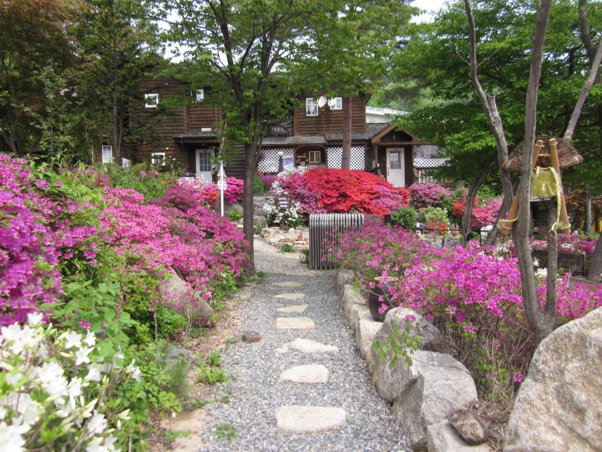 Mayfair Deneb Pension Pyeongchang Extérieur photo