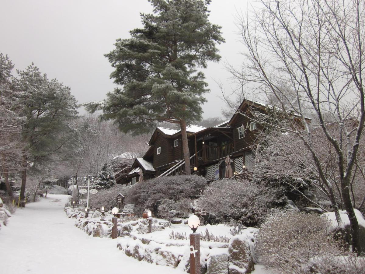 Mayfair Deneb Pension Pyeongchang Extérieur photo